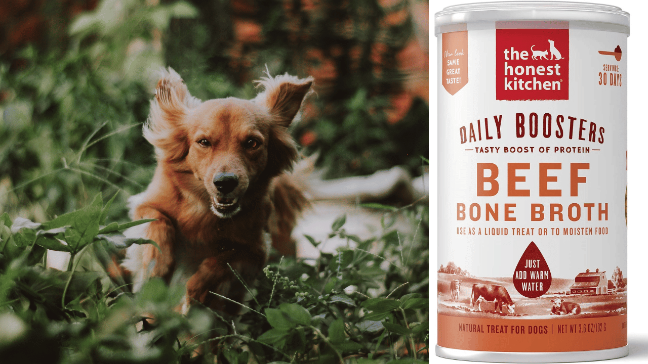 The Pup's Choice 5 Best Bone Broths for Dogs