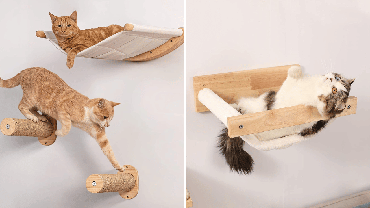 Cat's Pajama Party: Testing Out the Top 5 Cat Wall Beds