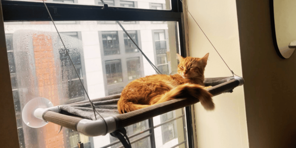 how-to-make-a-perch-for-a-cat-window