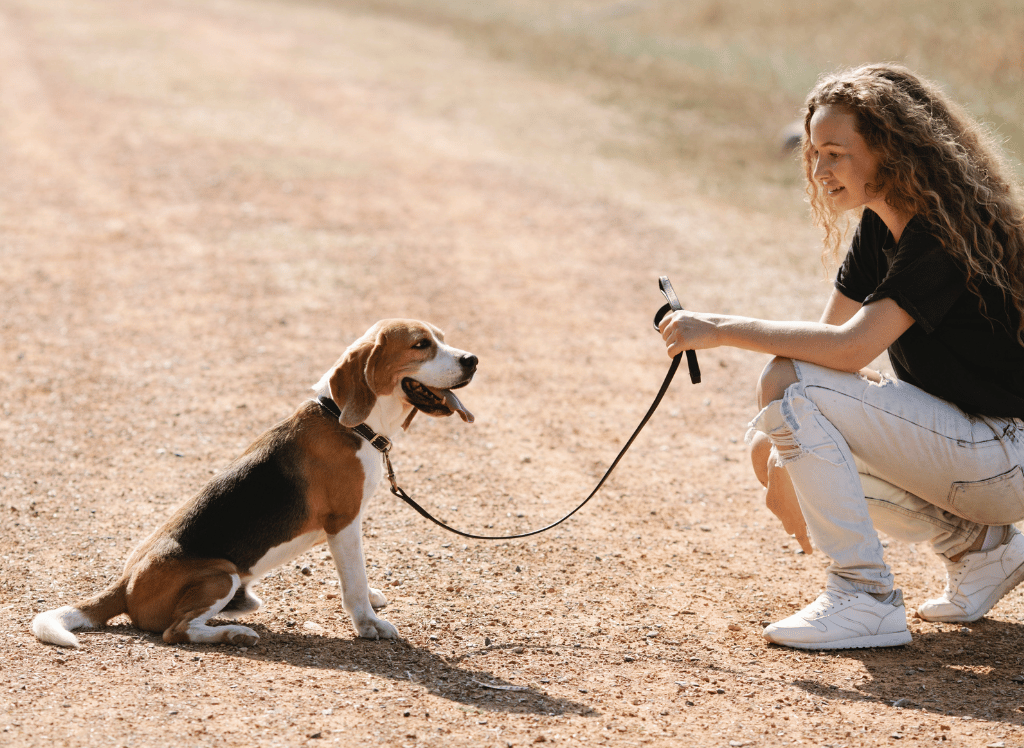 Leash Up Your Pup in Style: Find the Best Leather Dog Leash