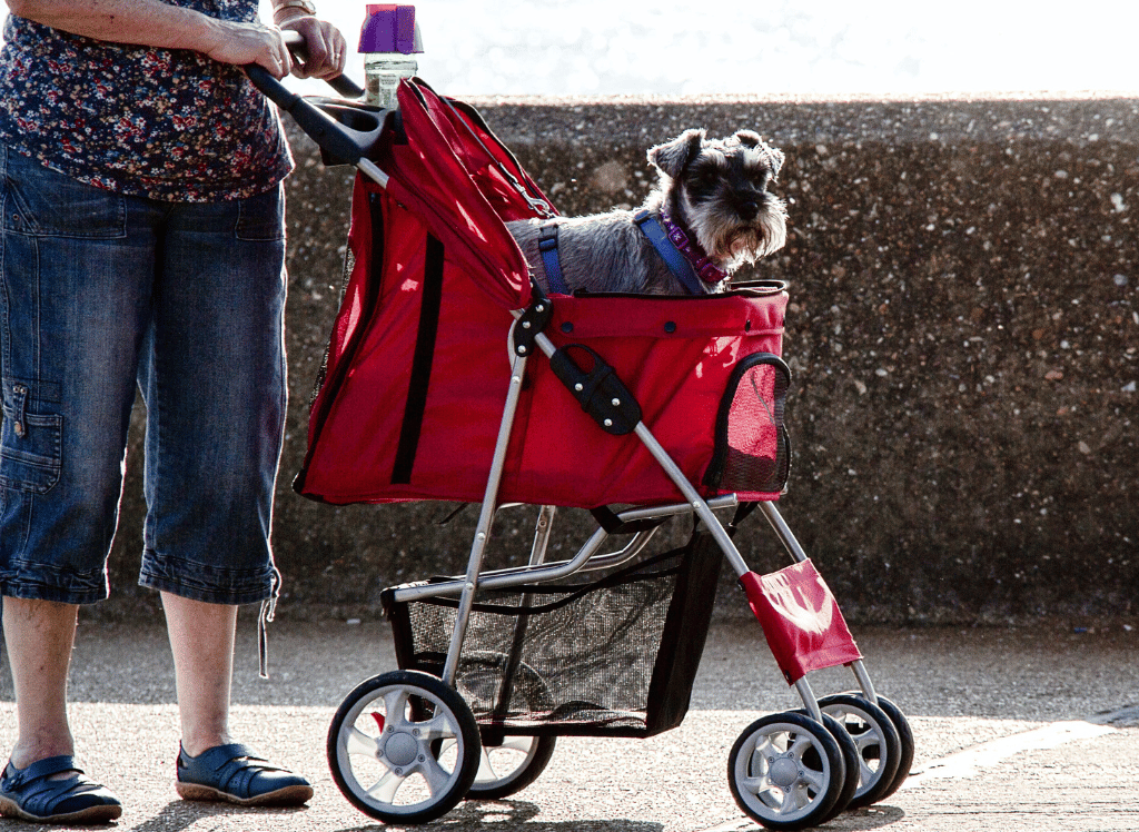 These 5 Dog Strollers Are The Best On The Market !