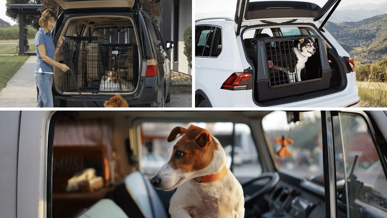 Take a Ride with the Best Dog Crate for Car: Find the Perfect Spot for Fido!