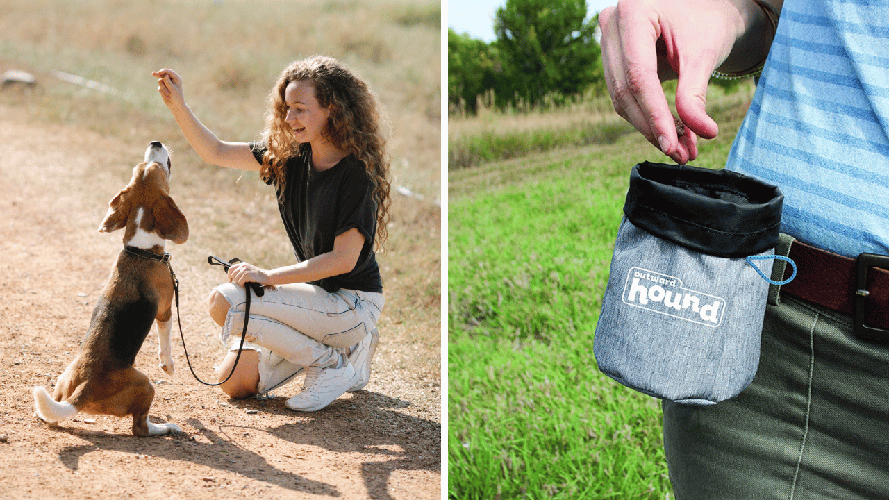 The Best Dog Treat Pouch: Treats on the Go for Every Pup's Adventure!