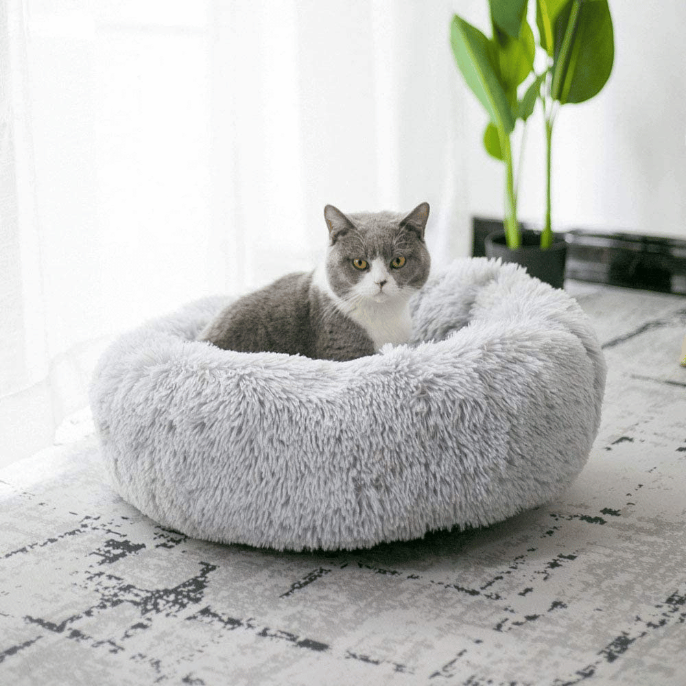 6 Modern Cat Beds That'll Make Your Feline Feel Like Royalty