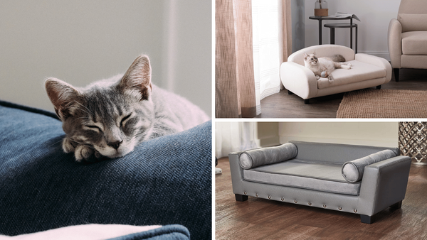 Top 5 Cat Couches: Treat Your Feline Friend to a Luxurious Lounge!