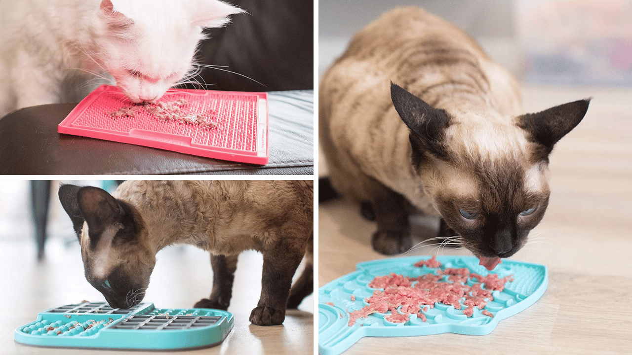 "Meow-tastic! Cat Lick Mats: A Purr-fect 5-Product Review"