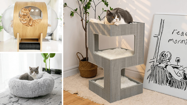 6 Modern Cat Beds That'll Make Your Feline Feel Like Royalty