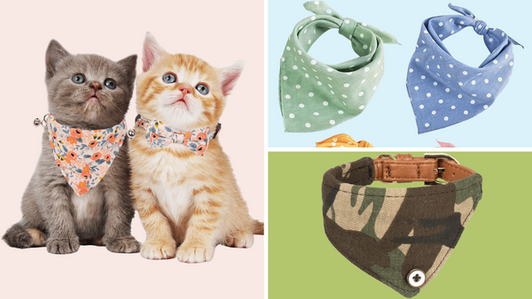 Kitty-Approved! 6 Cat Bandanas You'll Purr-fectly Love!