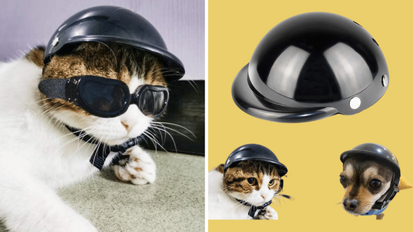 Meow-velous Protection: 5 Purr-fect Helmets for Cats!