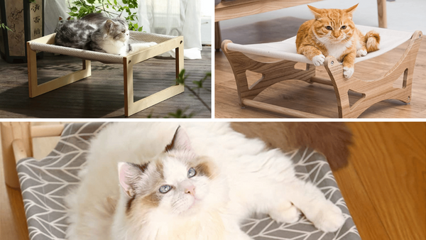 A Purr-fect Night's Sleep: 5 Wooden Cat Beds Reviewed!