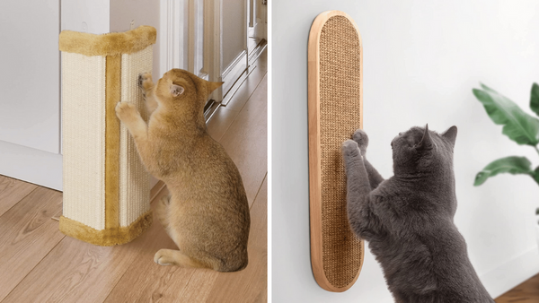 5 Wall Scratchers That'll Get Your Cat's Paws Out of Trouble!