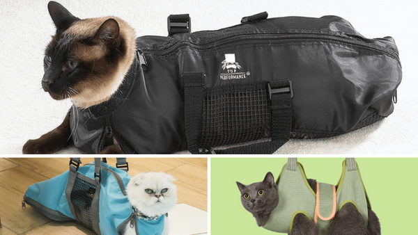 Buzzy and Meowsome: 5 Cat Restraint Bags Put to the Test!