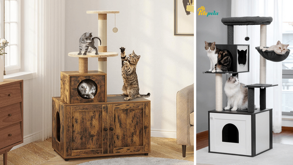 7 Cat Trees With Litter Boxes to Keep Your Home Purrrfectly Clean!