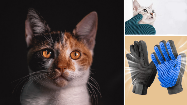 The Cat's Meow: Ranking the Top 5 Cat Grooming Gloves