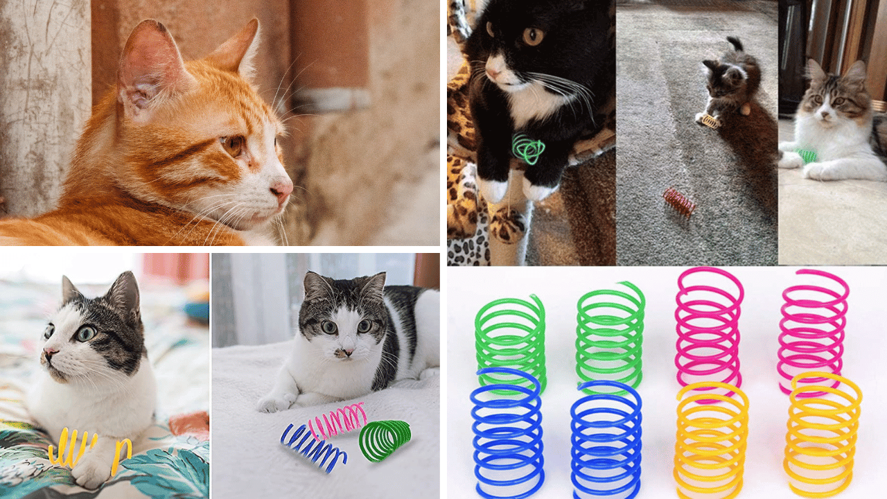 Five Feline-Approved Spring Toys for Your Cat's Delight