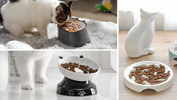 Slow Down Feline Feasts: The Top 7 Slow Feeder Cat Bowls