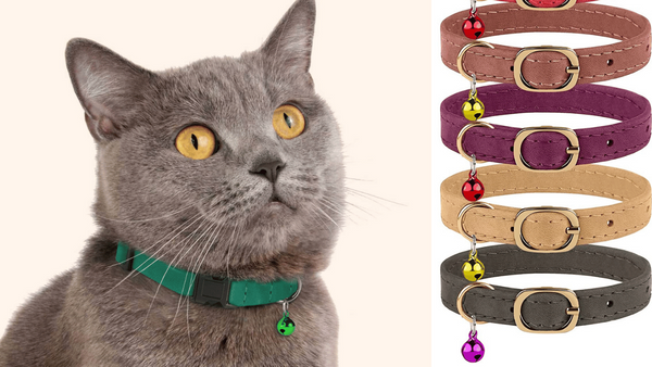 Leather Up! A Cat's Guide to the Top 7 Leather Cat Collars