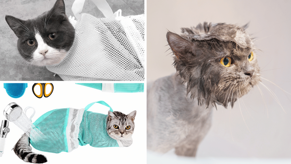 Purr-fectly Pampering: Reviewing the Top 5 Cat Bath Bags