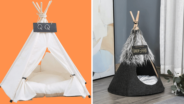 Feline Fun: A Purr-fect Review of the Top 5 Cat Teepees!