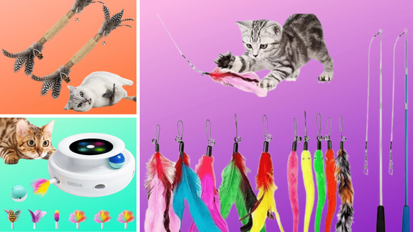 5 Cat-Approved Feather Toys: Putting The Purr In Playtime!