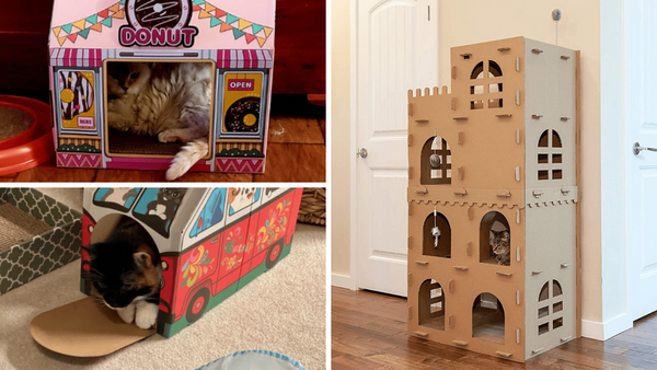 Get Ready to Purr: Our Review of 7 Cat Playhouses!