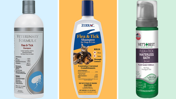 Got Fleas? Here Are the Top 5 Best Flea Baths for Cats!