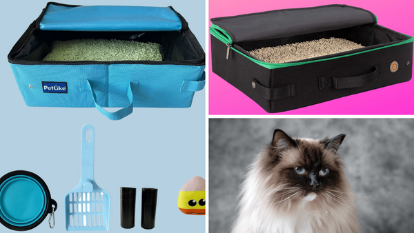 Road Trip Ready: 6 Cat Litter Boxes For Travelers!