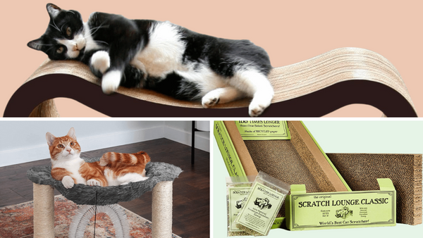 7 Cat Loungers: Pamper Your Feline Friend In Style!