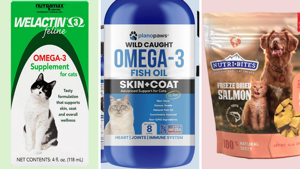 Purring Up a Storm: Reviewing 5 Best Omega 3s for Cats