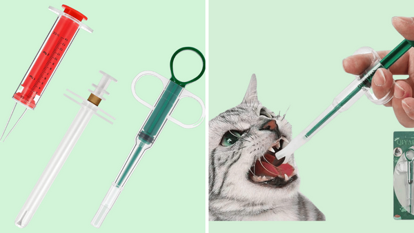 Cat Got Your Tongue? Try Out These 5 Cat Pill Shooters!