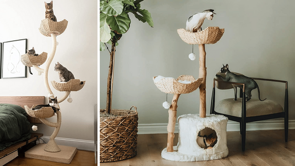 Climb Every Cat's Dream: A Review of 4 Mau Cat Trees!