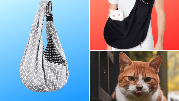 5 Cat Sling Carriers: Let Your Kitty Tag Along In Style!