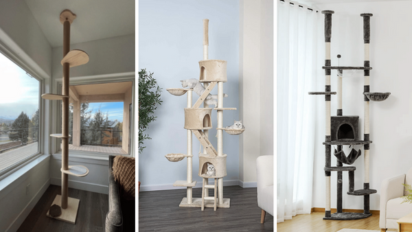 Climb to New Heights: 6 Floor-to-Ceiling Cat Trees Reviewed!