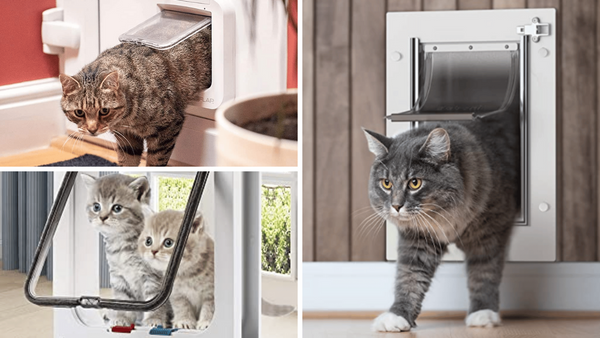 Meow to Go! Testing Out 6 Cat Doors for Your Garage Door