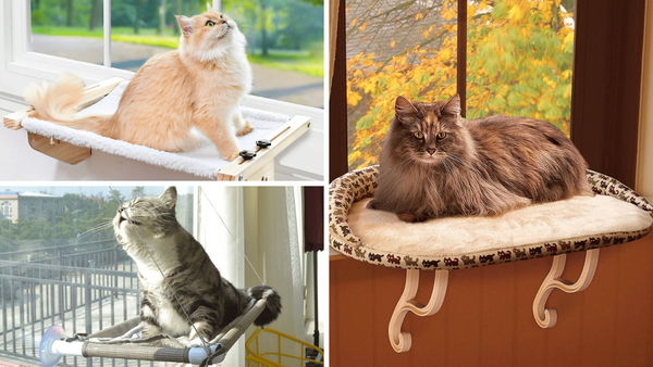 7 Window Cat Perches: Let Your Kitty Soar to New Heights!