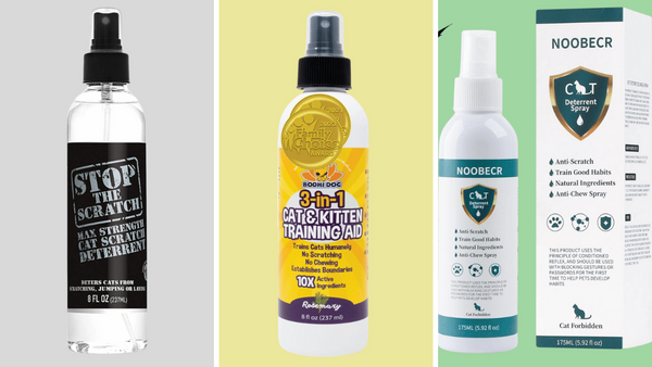 Scratch No More: 6 Best Anti Scratch Cat Sprays Reviewed & Rated