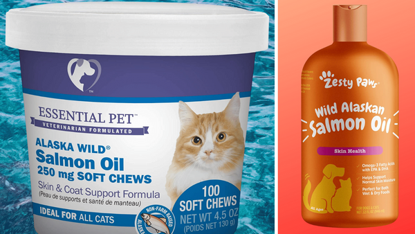 Meow-Worthy: 5 Salmon Oils for Kitties to Love!