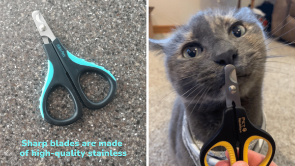 Comparing Claws: 6 Best Cat Nail Clippers Put To The Test