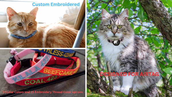 5 Cat Collars That Keep Your Outdoor Furball Safe & Stylish!