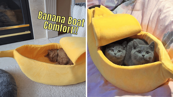 Can't Resist Cuddles? Check Out These 5 Banana Cat Beds!