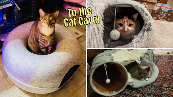 5 Cat Tunnel Beds: Feline Fun and Comfort For Your Kitty!