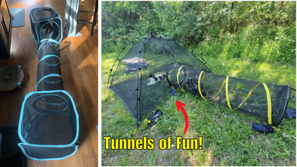 Tunnel Vision: Our 5 Favorite Cat Tunnels For Outdoor Fun!