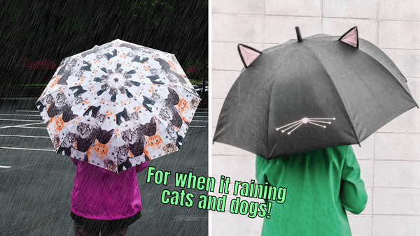 6 Cat Umbrellas: The Purr-fect Way to Beat Rainy Days!