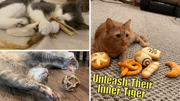 Cats Go Wild: Our Top 5 Chewable Toys Reviewed