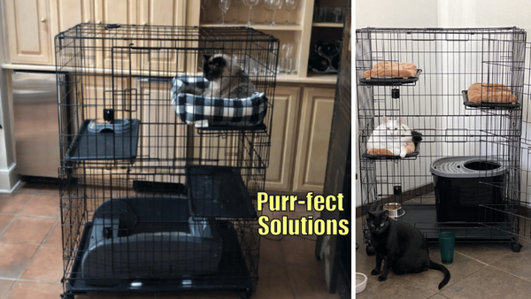 5 Indoor Cat Cages: A Purr-fect Home For Your Furry Friend