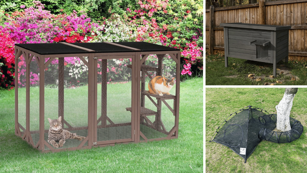 6 Outdoor Cat Enclosures: Let Your Feline Friend Explore in Style!