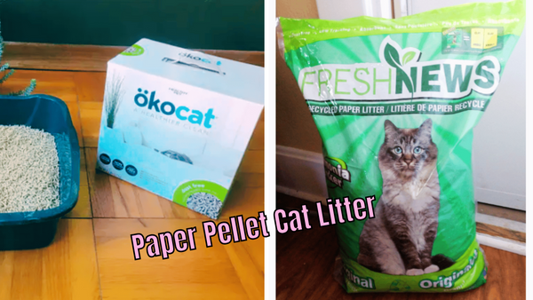 Paw-Some Reviews: Testing Out 5 Paper Pellet Cat Litters