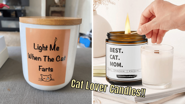 "Meowtastic" Cat Themed Candles: A Purr-fect 6 Pack Review