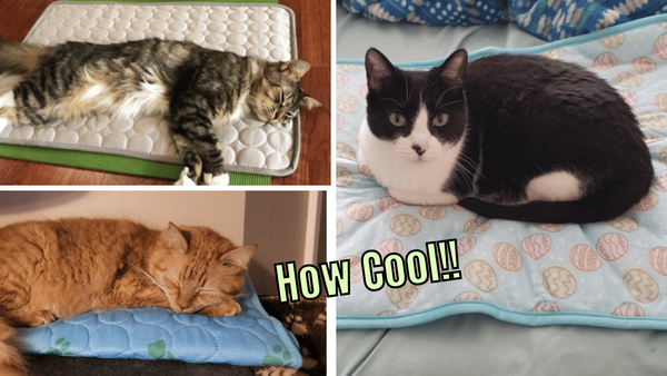 Stay Cool, Cats: The Top 5 Cat Cooling Mats for Hot Summer Days