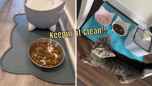 Cat Food Mats: Put an End to Furry Mealtimes Mayhem!